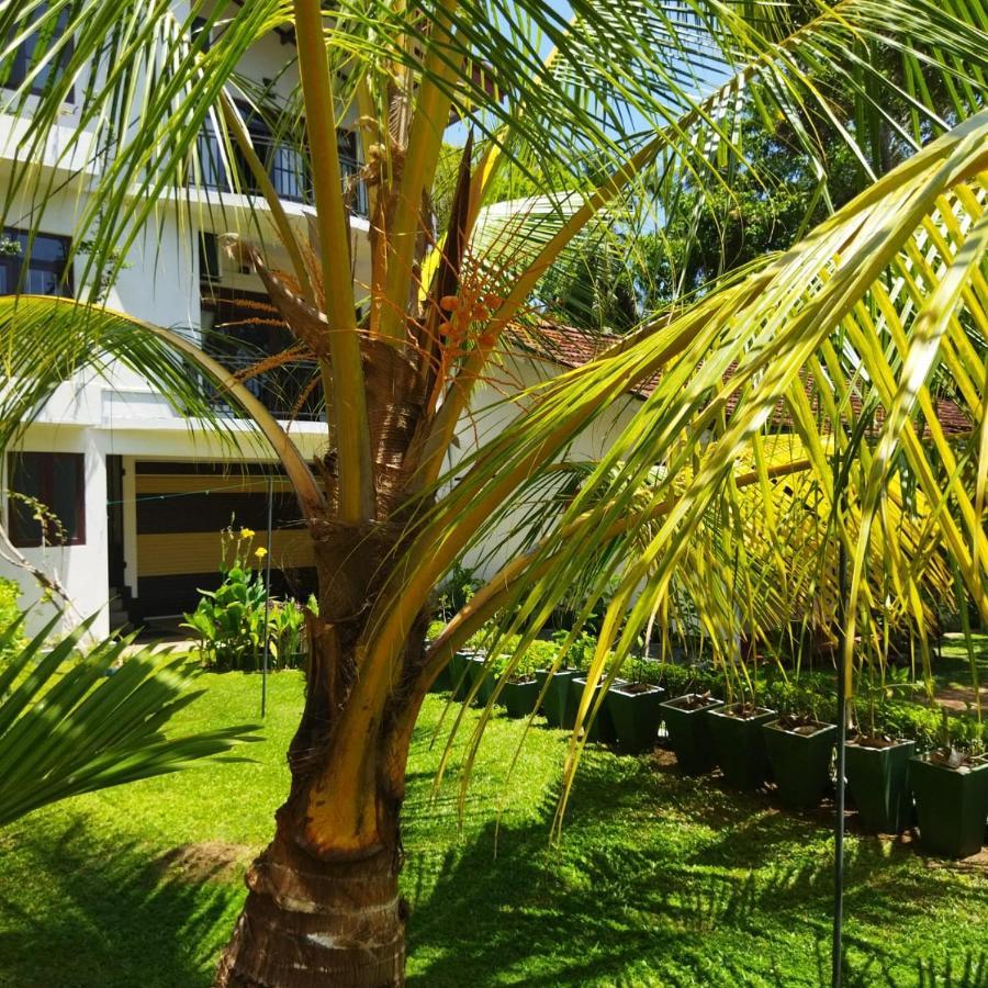 Edelweiss Residence Hikkaduwa Buitenkant foto