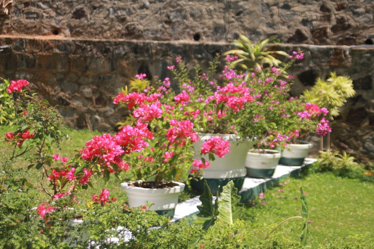 Edelweiss Residence Hikkaduwa Buitenkant foto